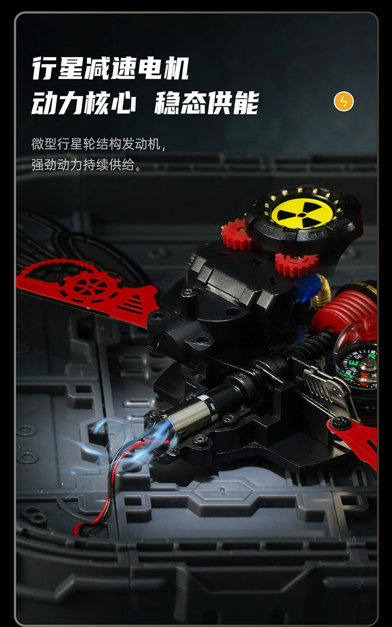 DIY three-dimensional puzzle model of Ruotai Ruoke Beetle